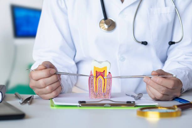 Best Pediatric Emergency Dentist in Germantown, TN